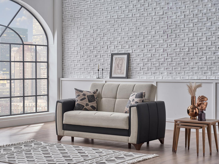 Modern aesthetics and multi-functional design define the Dublin Sleeper Set, perfect for stylish living spaces.